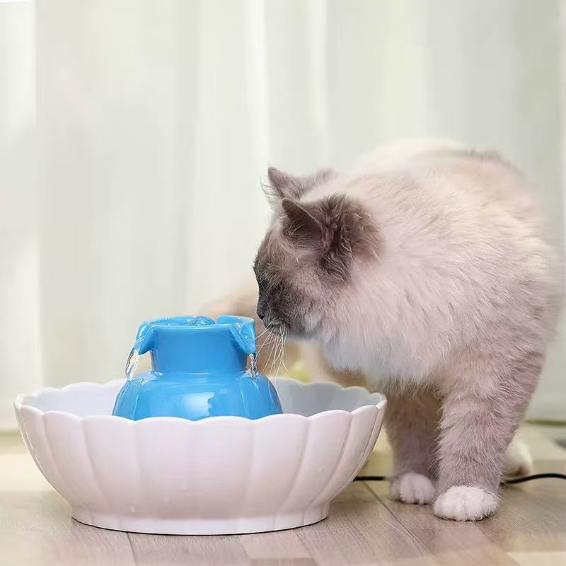 The Ultimate Guide to the Best Cat Water Fountains for Picky Drinkers