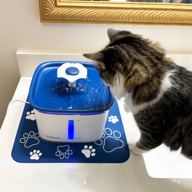 Why Do Cats Prefer Running Water? A Simple Guide to Understanding Your Feline’s Hydration Habits