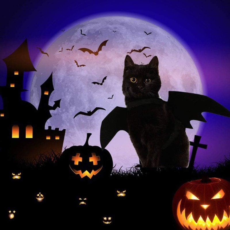 The Best Cat Halloween Costumes For Your Feline Friend