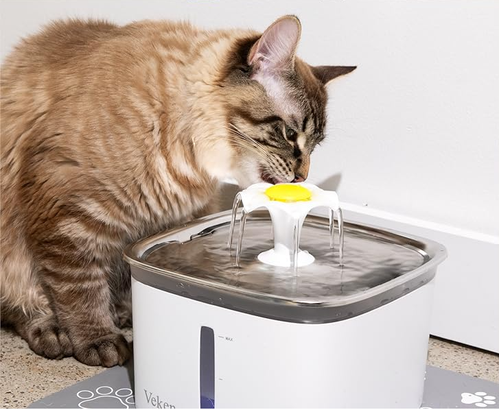 The Best Stainless Steel Cat Water Fountains Reviewed