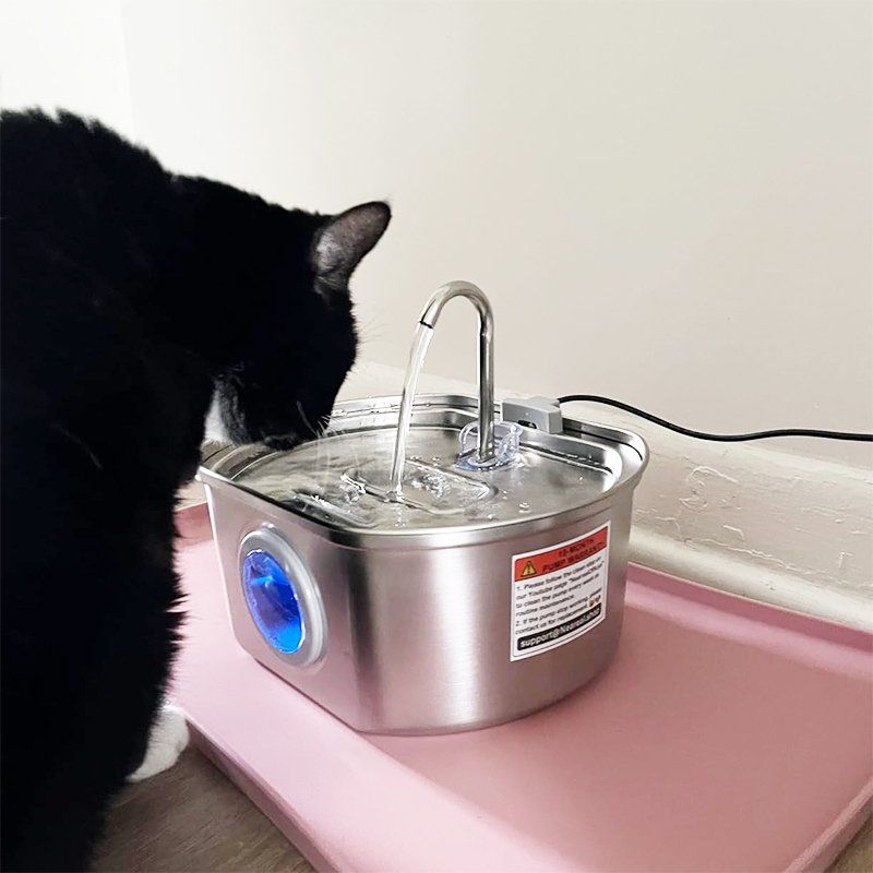 Top 5 Quiet Cat Water Fountains for a Peaceful Home